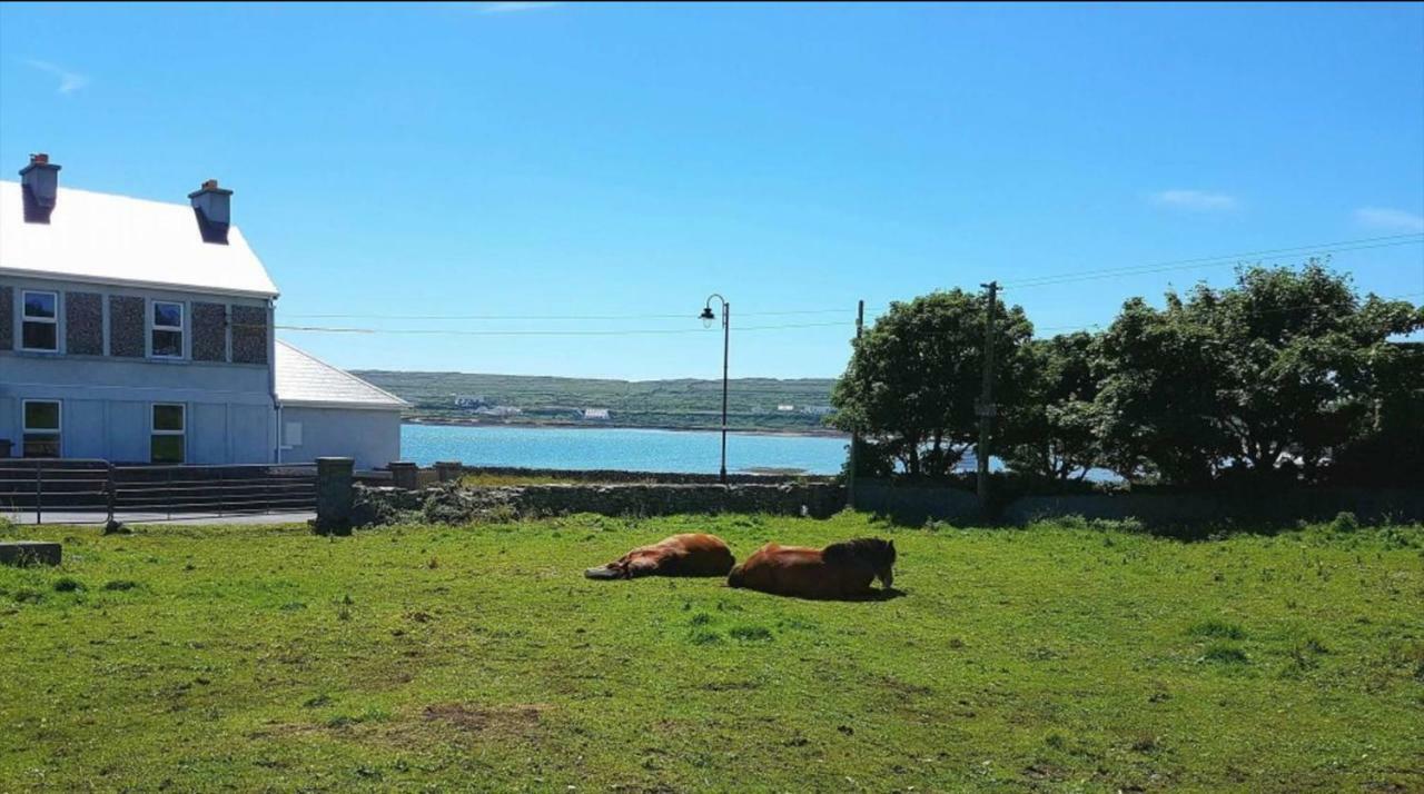 Seacrest B&B Kilronan  Dış mekan fotoğraf