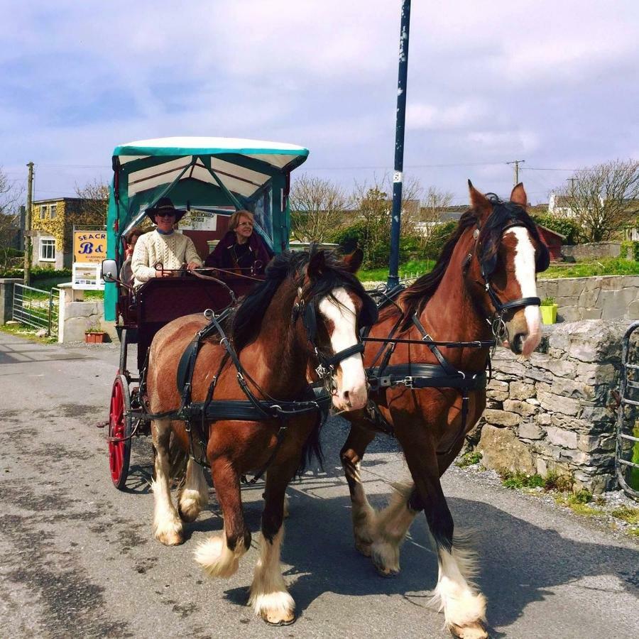 Seacrest B&B Kilronan  Dış mekan fotoğraf
